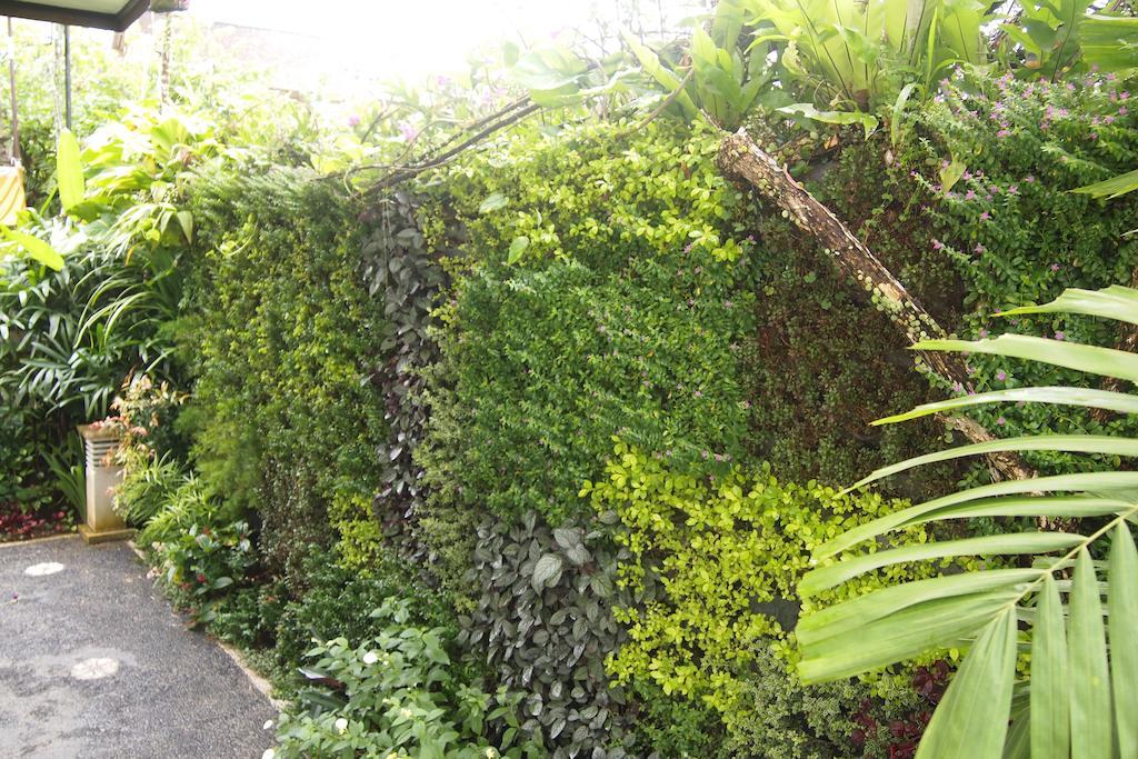 Yulia Village Inn Ubud Buitenkant foto