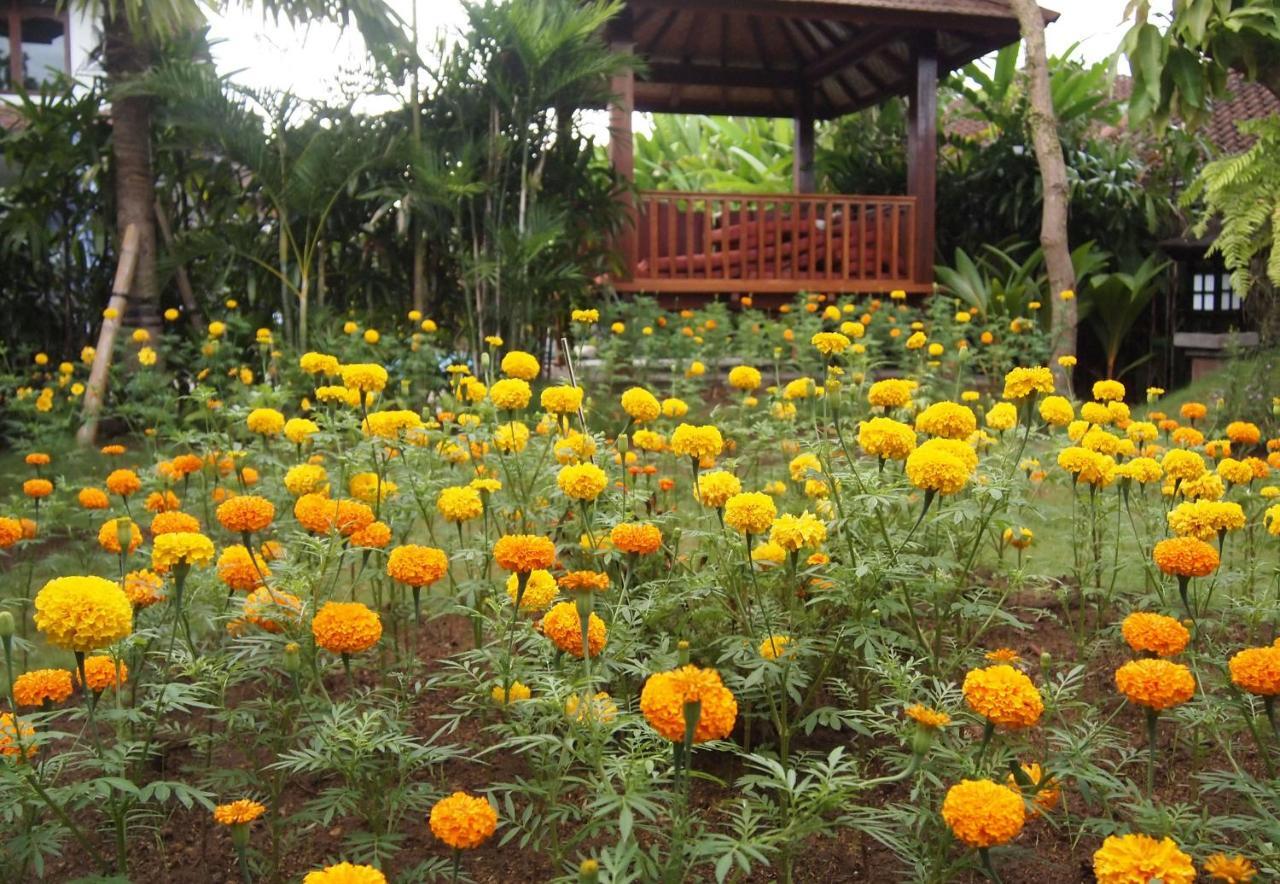 Yulia Village Inn Ubud Buitenkant foto